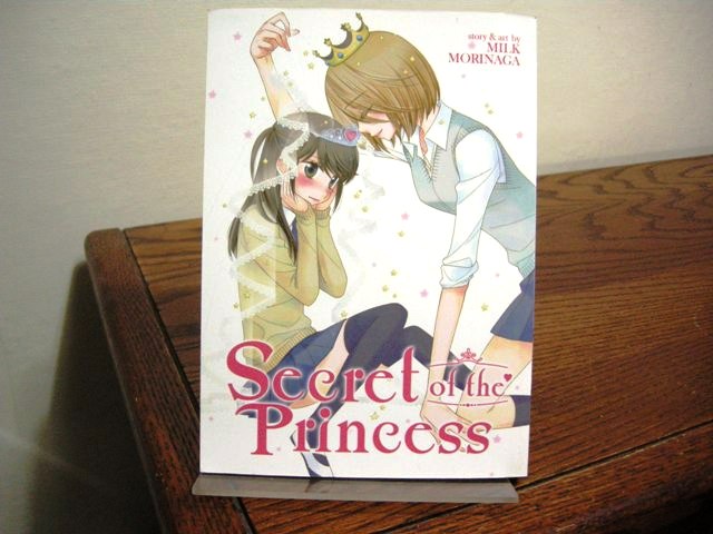 Secret of the Princess